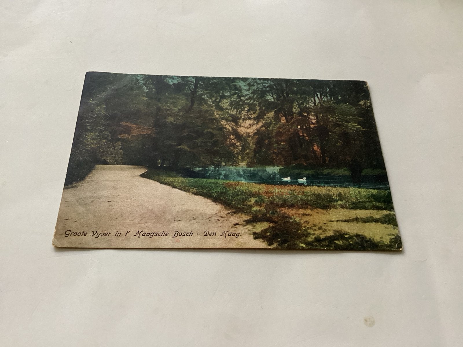 Oude Ansichtkaart: Grote Vijver in 't Haagsche Bosch - Den H, Ophalen of Verzenden, Voor 1920, Gelopen, Zuid-Holland