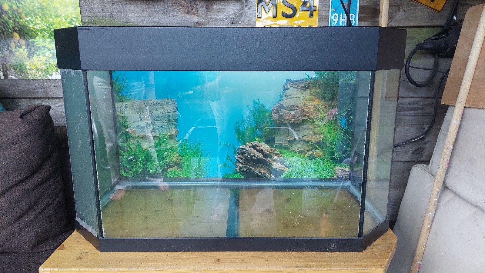 hamsterscape met veel spullen, Dieren en Toebehoren, Ophalen, Overige typen, Hamster, Minder dan 60 cm