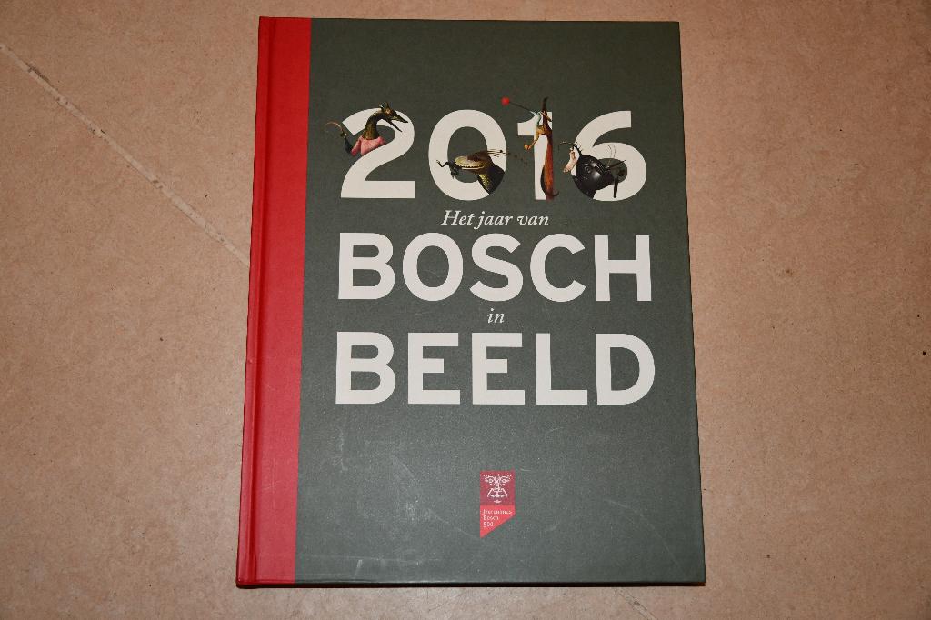 2016 Het jaar van Bosch in Beeld, Ophalen of Verzenden, Zo goed als nieuw, Kunst en Cultuur