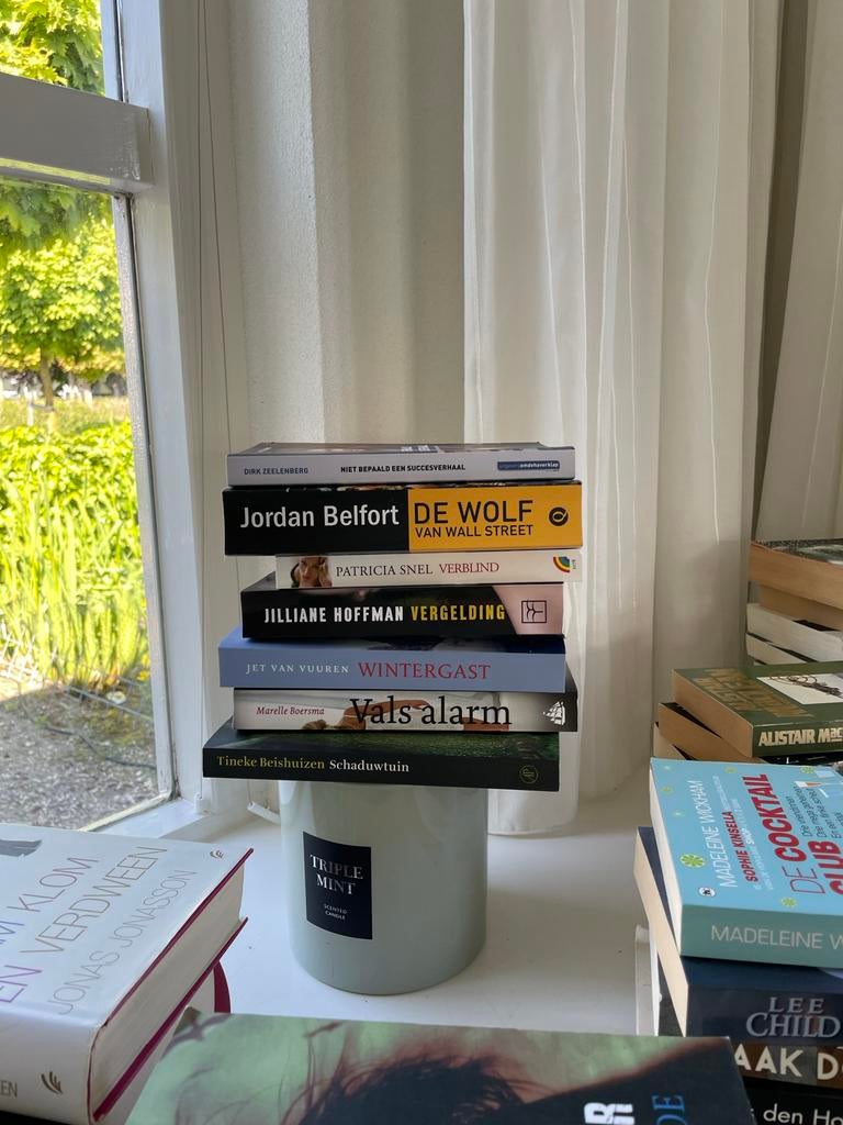 Diverse collectie thrillers en romans (20+ boeken), Boeken, Thrillers, Zo goed als nieuw, Ophalen