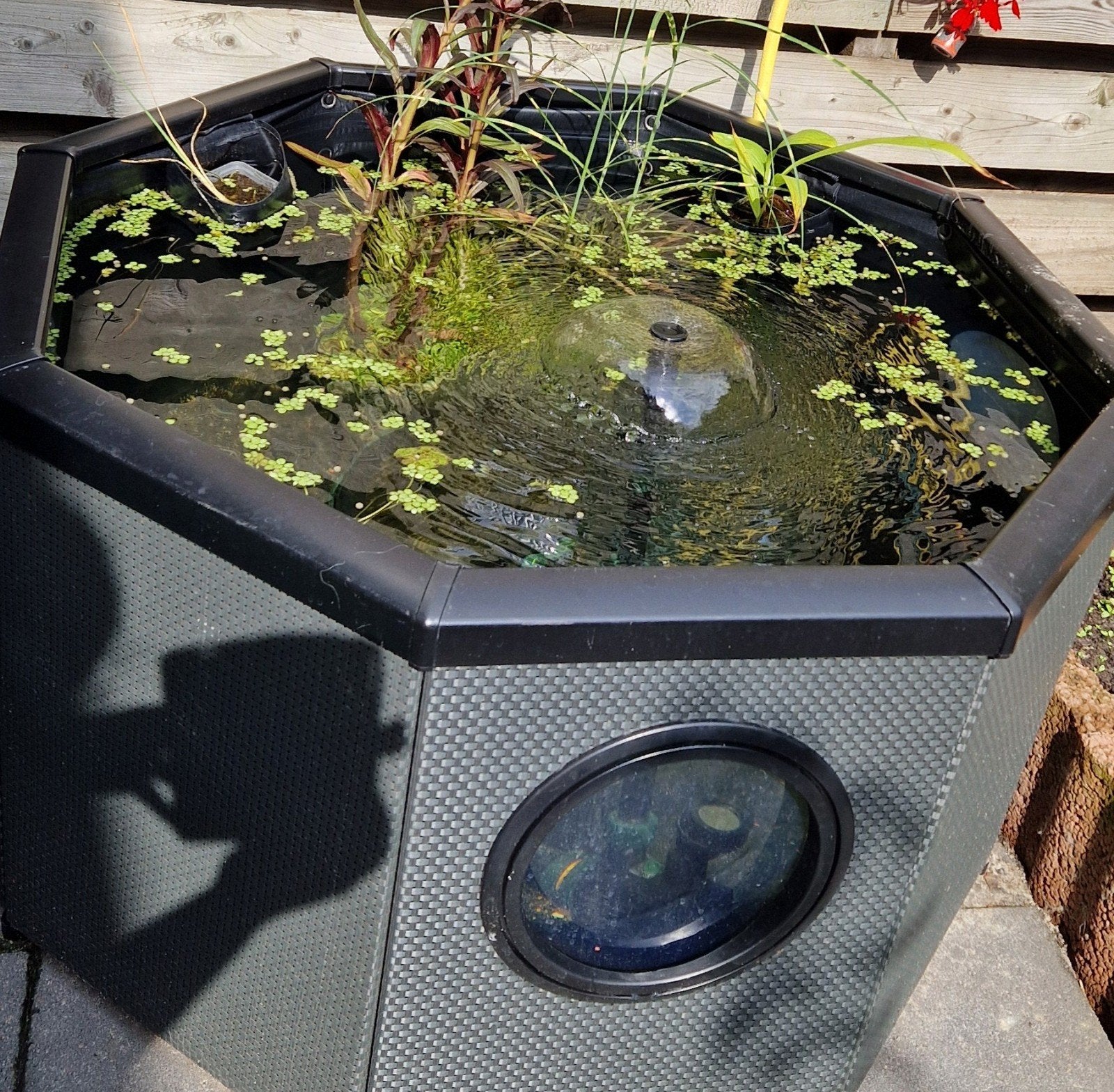 Prachtig mooie vijver, Tuin en Terras, Ophalen, Zo goed als nieuw
