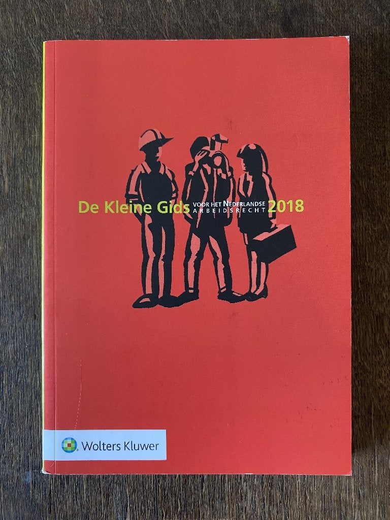 De Kleine Gids voor het Nederlandse Arbeidsrecht 2018, Mark Diebels, Zo goed als nieuw, Beta, HBO