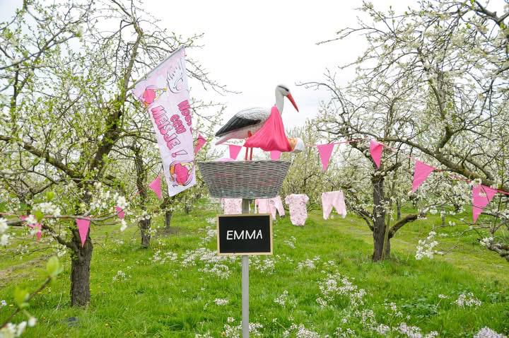 Origineel cadeau geboorte ooievaar, Kinderen en Baby's, Kraamcadeaus en Geboorteborden, Ophalen of Verzenden, Kraamcadeau