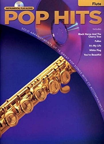 dwarsfluit-- Pop hits for Flute + cd--prachtig, Gebruikt, Dwarsfluit of Piccolo, Ophalen of Verzenden, Thema