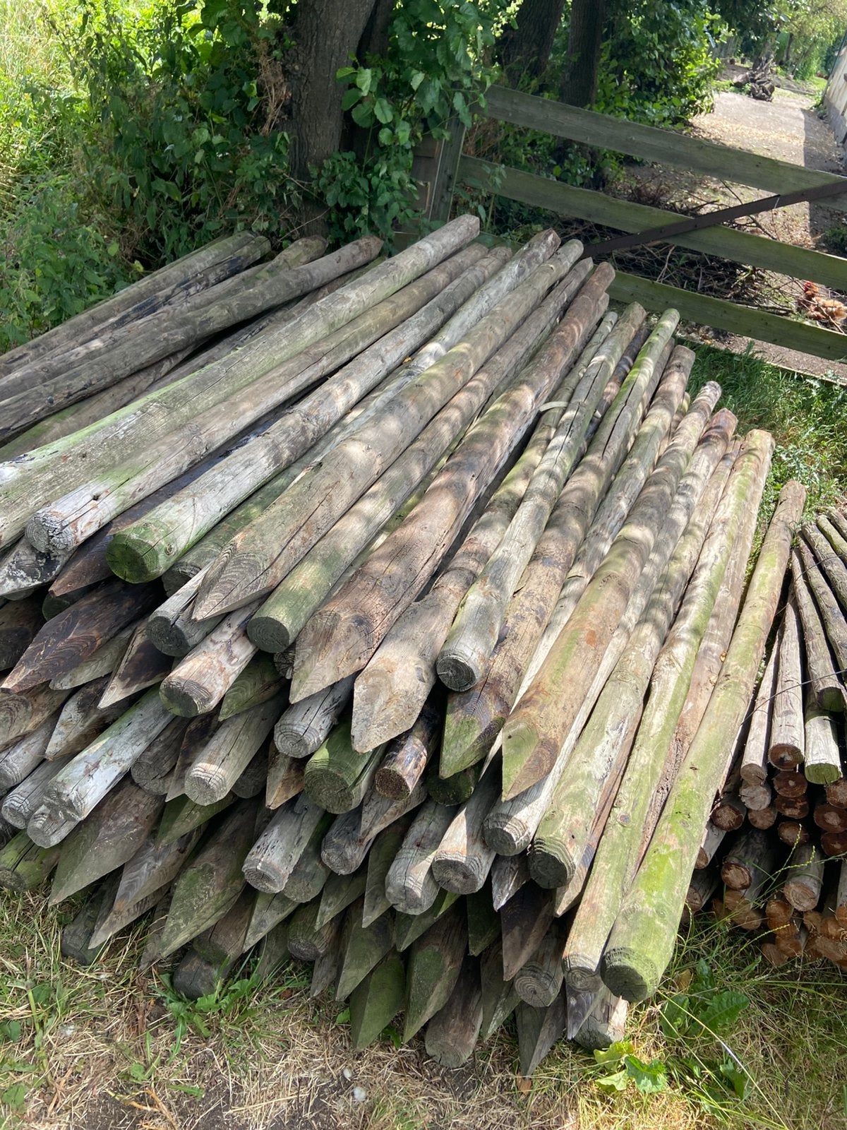 Houten palen 10-12 cm dik, 3 meter lang, Ophalen, Zo goed als nieuw, 250 cm of meer, Palen