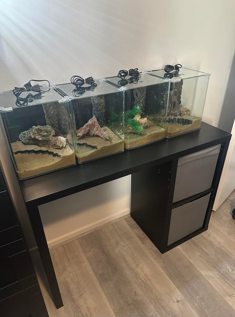 4x Dennerle Nanocube 20L incl. bureau & heaters, Dieren en Toebehoren, Vissen | Aquaria en Toebehoren, Ophalen, Gebruikt, Leeg aquarium