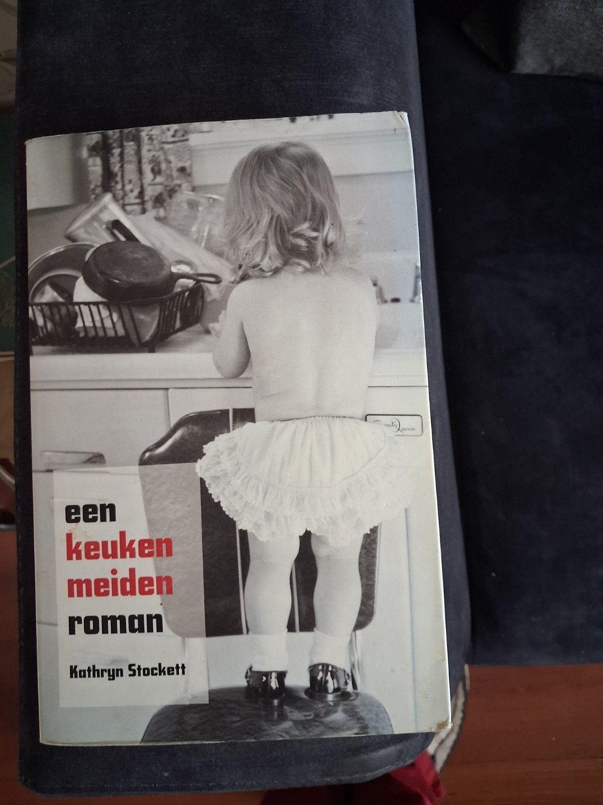 Een keukemeidenen roman, Ophalen of Verzenden, Gelezen, Kathryn Stockett