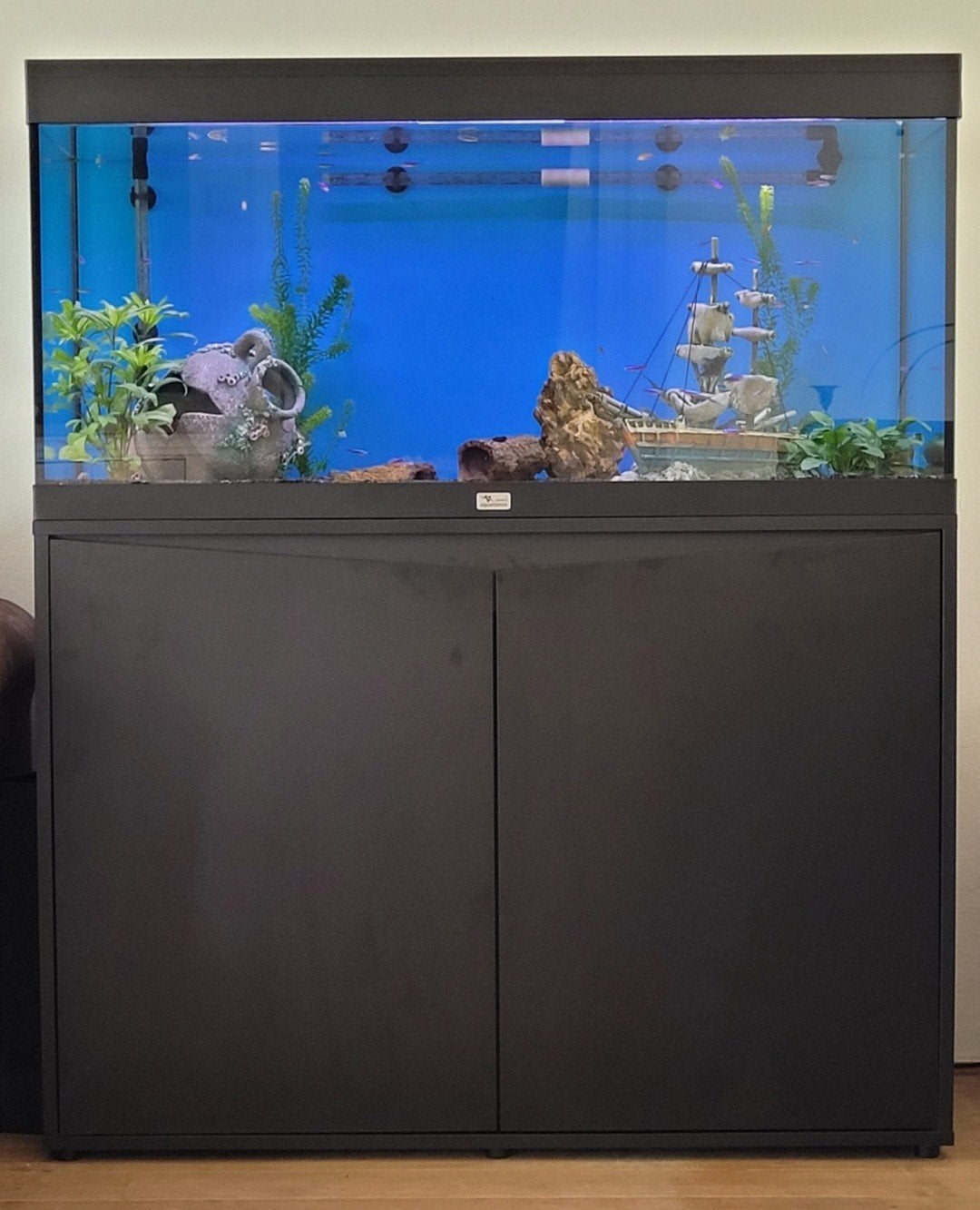 Te koop, moet weg van €500,= naar €400,=, Ophalen, Leeg aquarium
