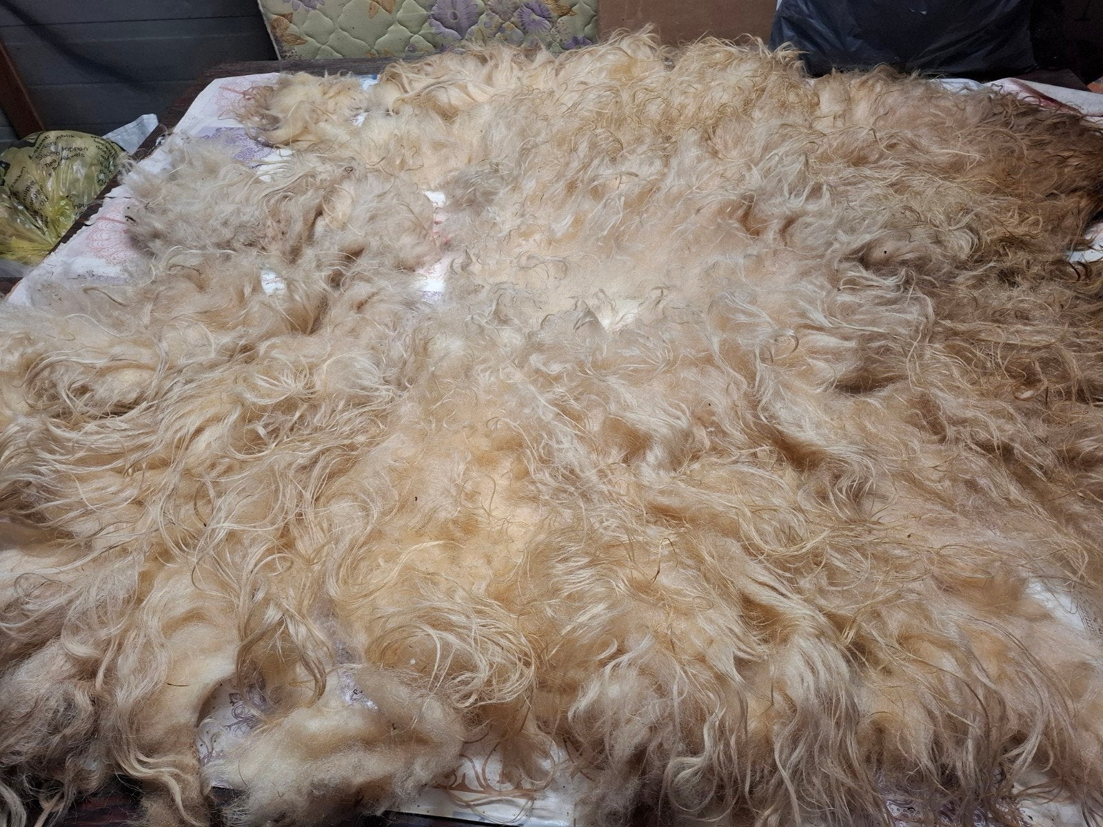 Ruwe vacht Heideschaap, lange lokken, Ophalen of Verzenden, Nieuw, Spinwol
