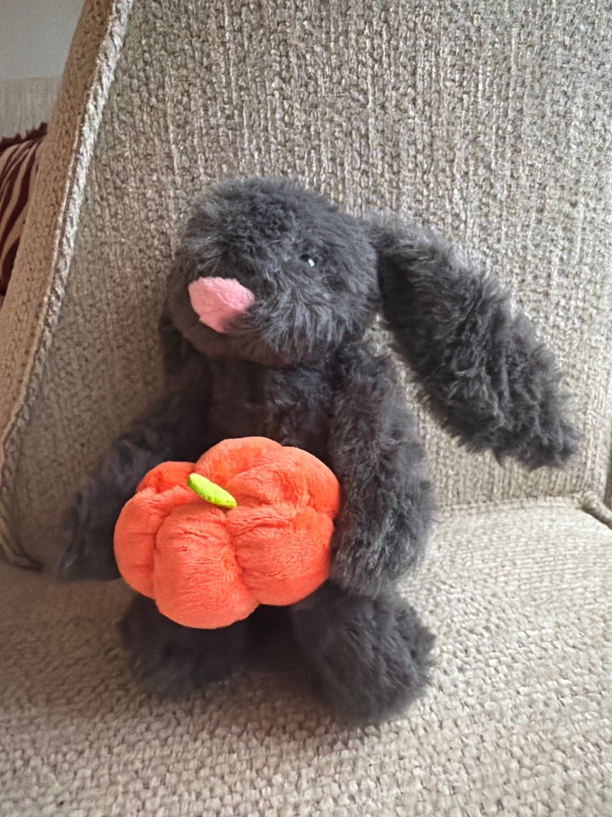Jellycat Bashful Bunny retired Pumpkin Halloween Knuffel, Jellycat, Grijs, Konijn, Ophalen of Verzenden