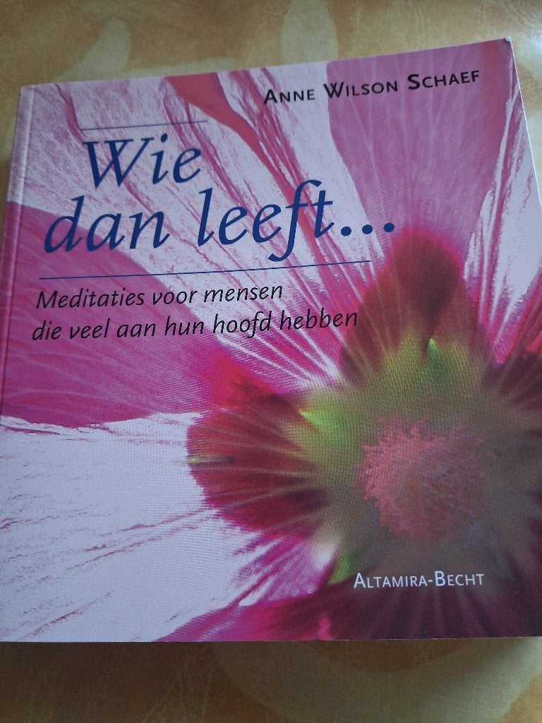 Wie dan leeft... - Anne Wilson Schaef, Meditatie of Yoga, Overige typen, Ophalen of Verzenden, Zo goed als nieuw