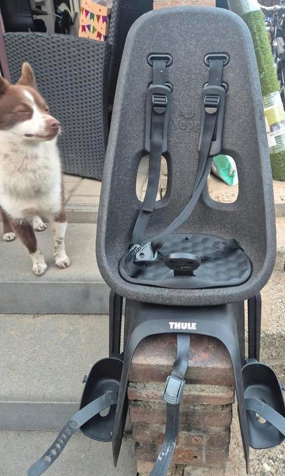 Thule Yepp 2 Maxi zo goed als nieuw fietsstoeltje., 15 t/m 25 kg, Achterzitje, Voetsteuntjes, Yepp