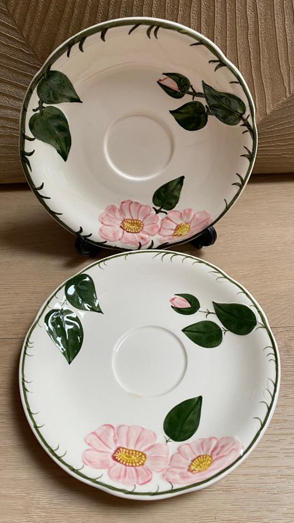 2 schotels van Villeroy & Boch Wild Rose, Gebruikt, Ophalen of Verzenden, Overige stijlen, Kop(pen) en/of Schotel(s)