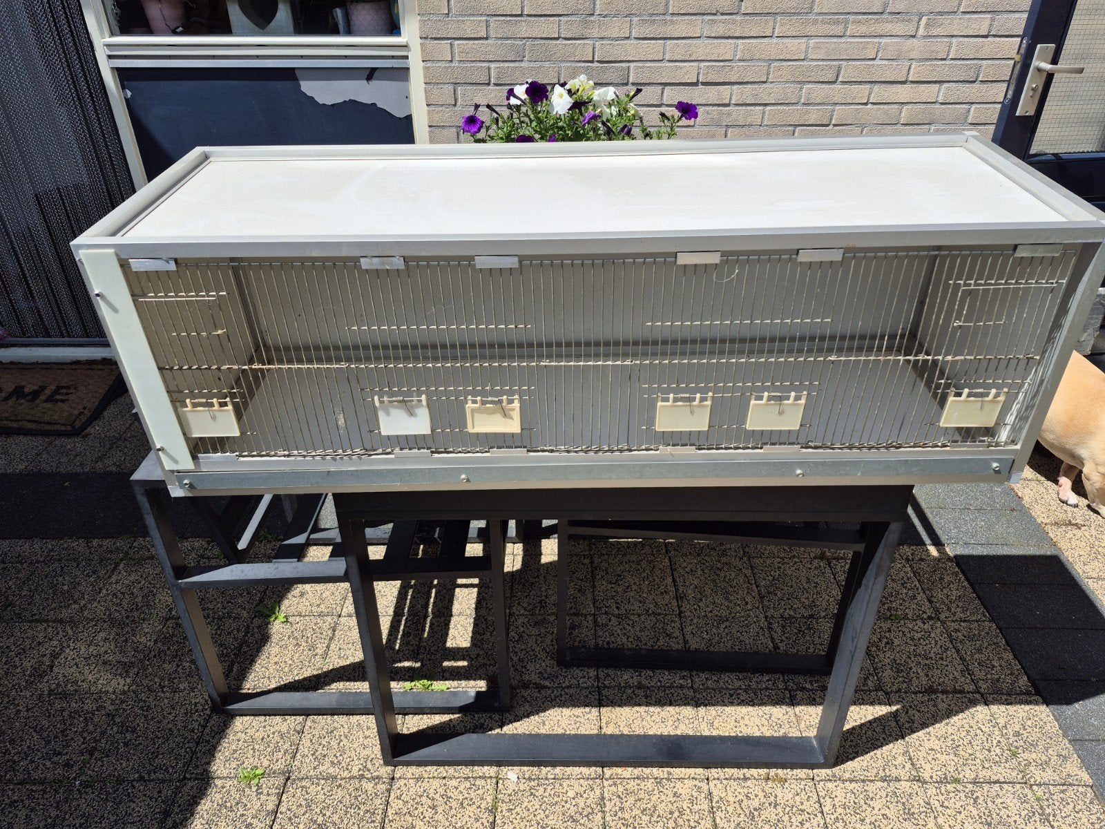 uitvliegkooi broedkooi, Ophalen, Aluminium, Broedkooi of Kweekkooi