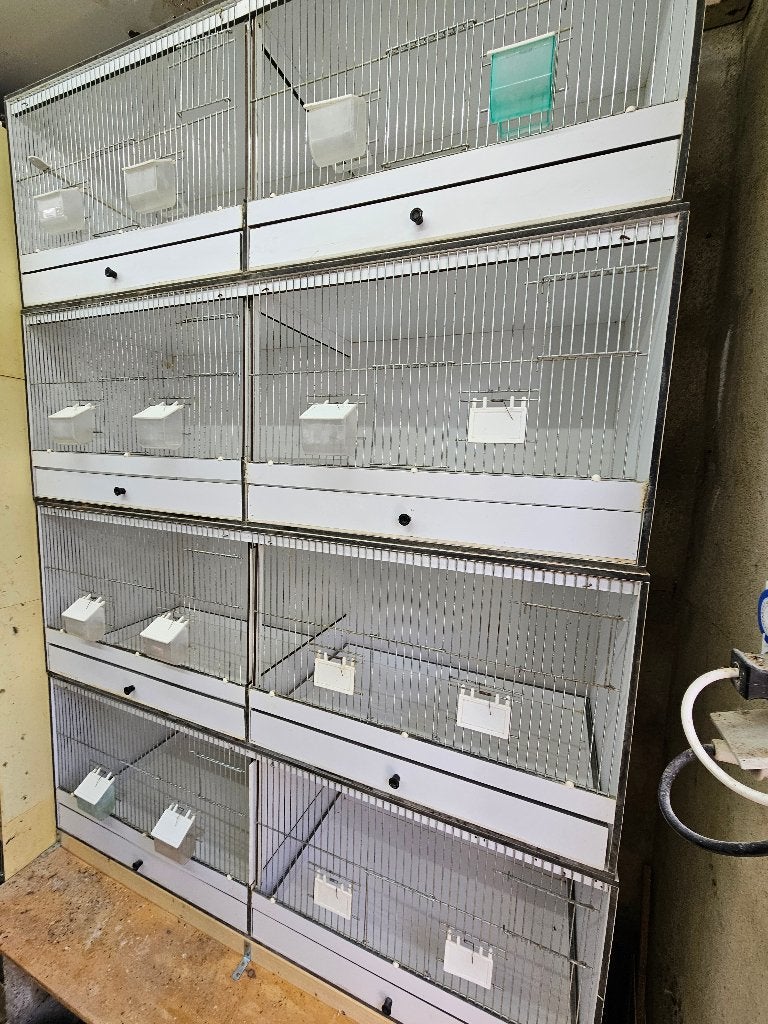 kweekkooien, Ophalen, Gebruikt, Kunststof, Broedkooi of Kweekkooi