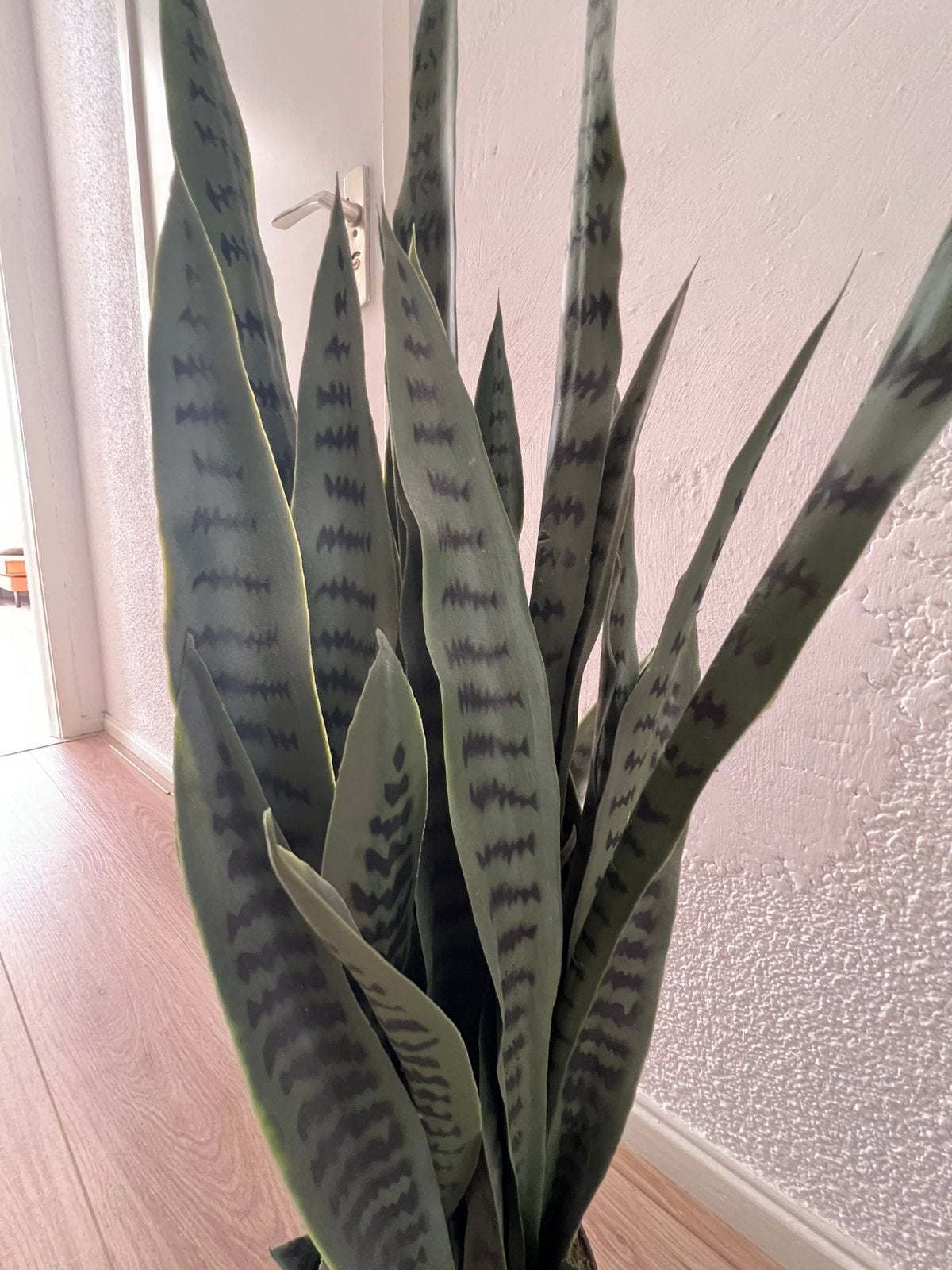 Kunstplant Sansevieria 100 cm, Huis en Inrichting, Ophalen, 100 tot 150 cm