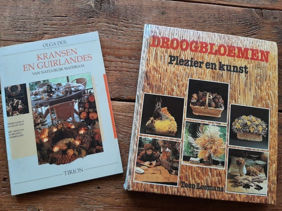 Boeken: Droogbloemen Plezier & Kunst + Kransen & Guirlandes, Ophalen of Verzenden, Gelezen, Toon Leemans, Olga Dol, Bloemschikken, Groendecoratie
