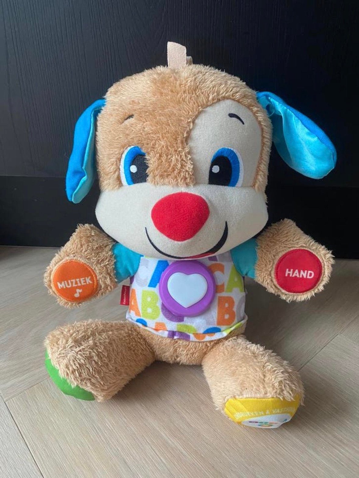 Fisher Price leerplezier Eerste Woorden Puppy | knuffel hond, Ophalen of Verzenden, Zo goed als nieuw, Overige typen, Met licht