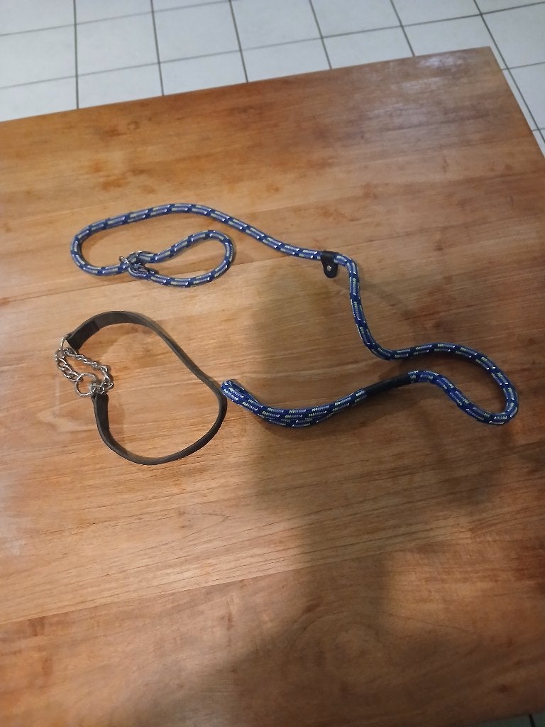 lijne voor hond, Dieren en Toebehoren, Trixie, Ophalen, Zo goed als nieuw, Halsband