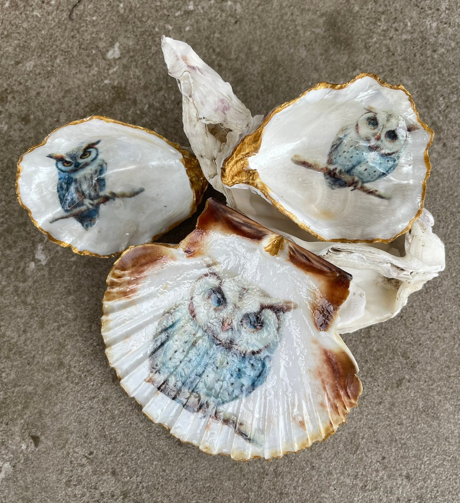 Oesters sint jakobsschelpen wijn uil bloem huis vis cadeau, Ophalen of Verzenden, Zo goed als nieuw