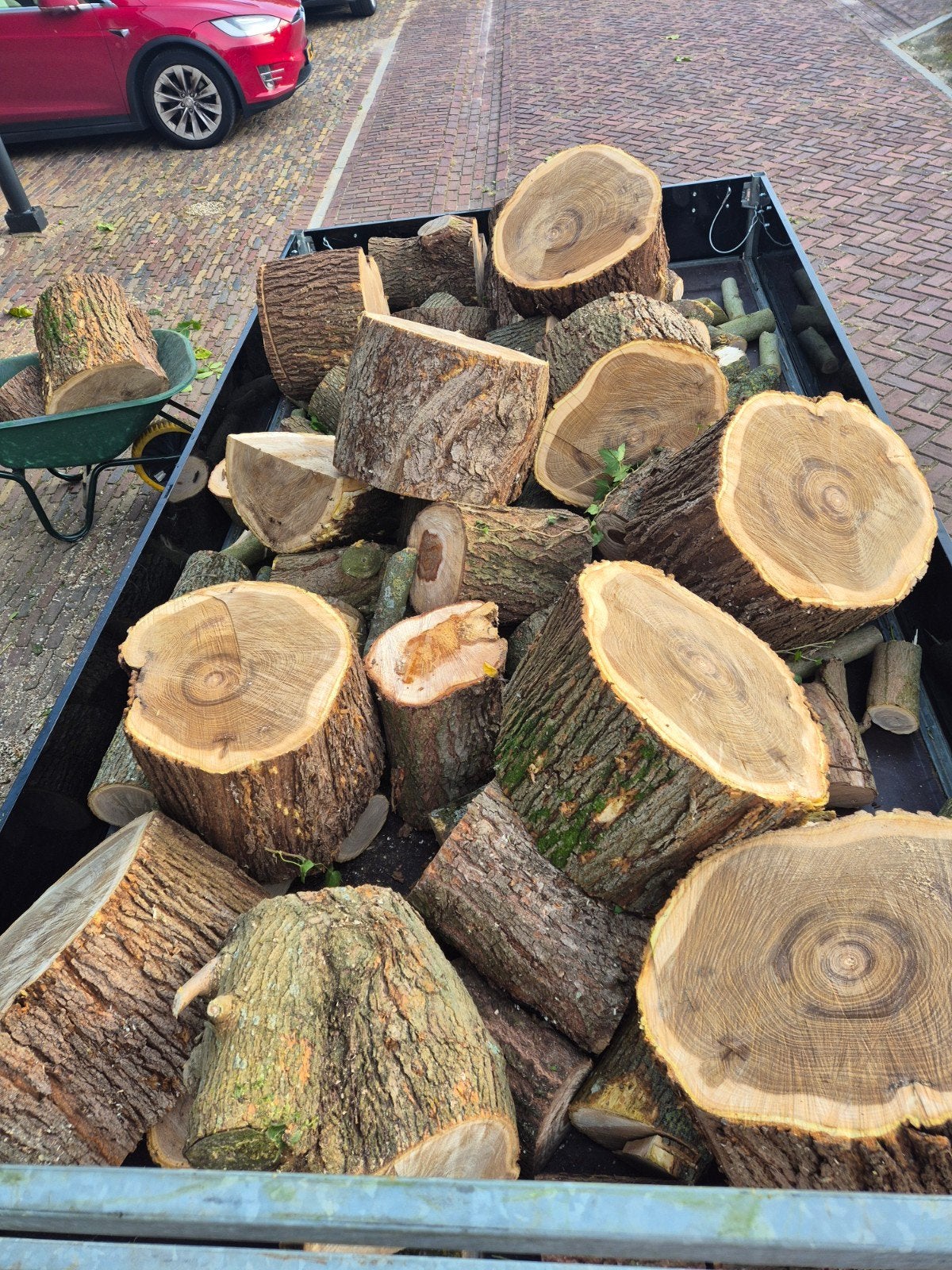 loofhout stammen 45 cm dik. 2 kuub., Tuin en Terras, Minder dan 3 m³, Ophalen of Verzenden, Blokken