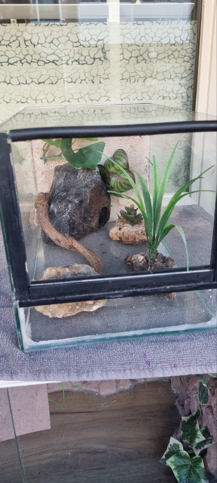 Terrarium 20x35x20, Ophalen of Verzenden