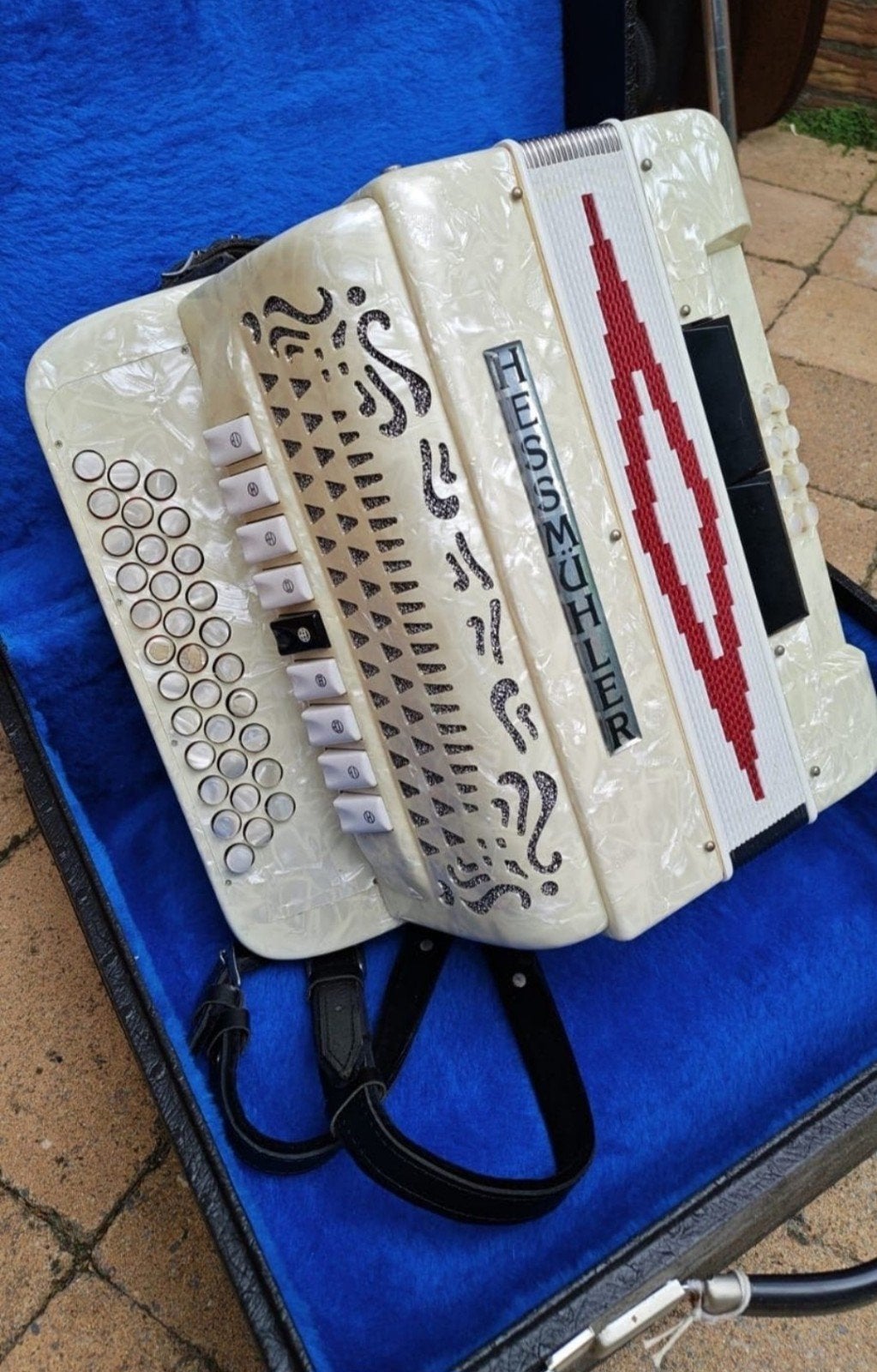 Prachtige Hessmüller diatonische trekharmonica, Muziek en Instrumenten, Overige merken, Overige formaten, Met koffer, Ophalen of Verzenden