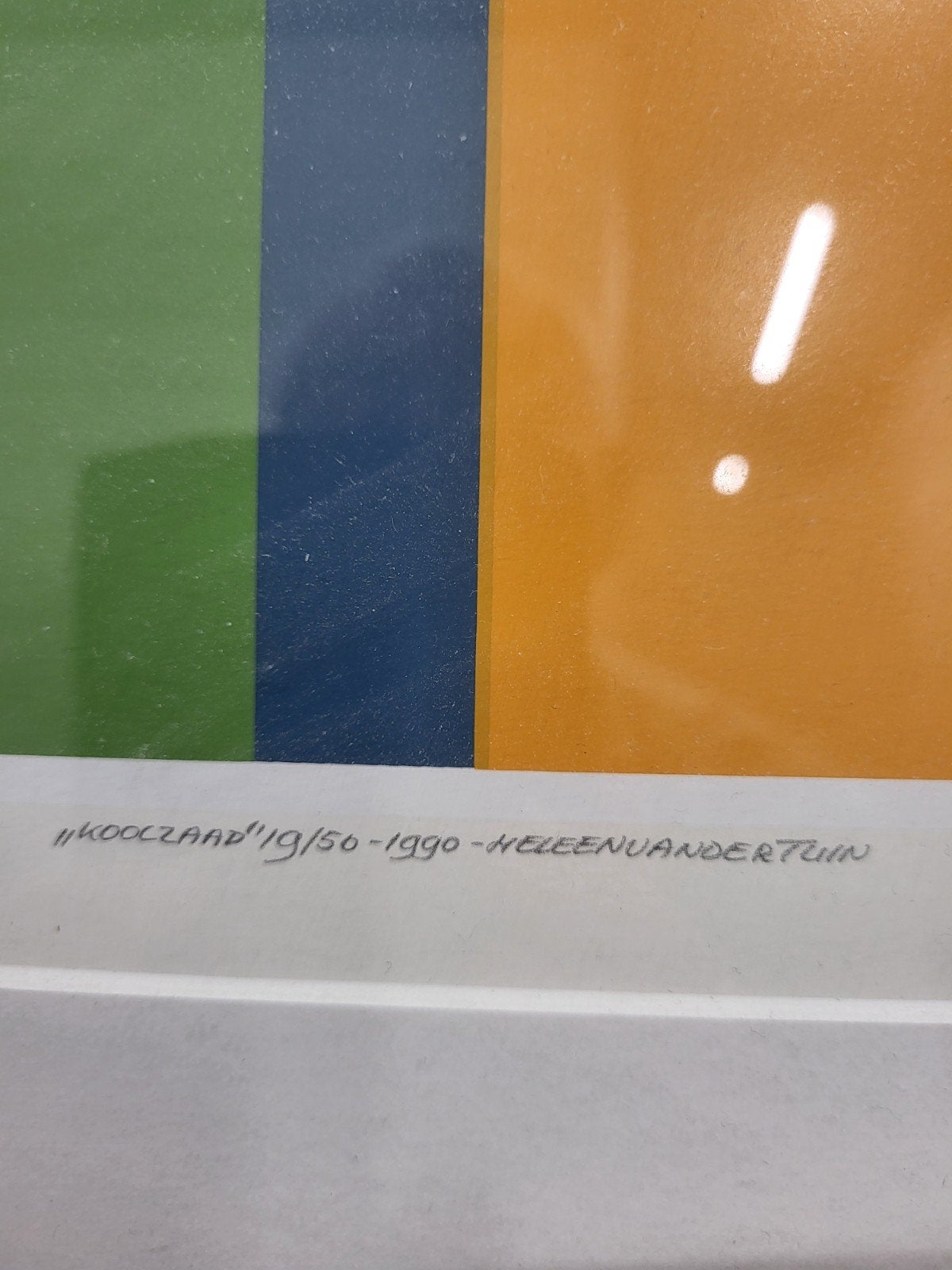 Litho "Koolzaad" van Heleen van der Tuin, ingelijst, Antiek en Kunst, Kunst | Litho's en Zeefdrukken, Ophalen of Verzenden