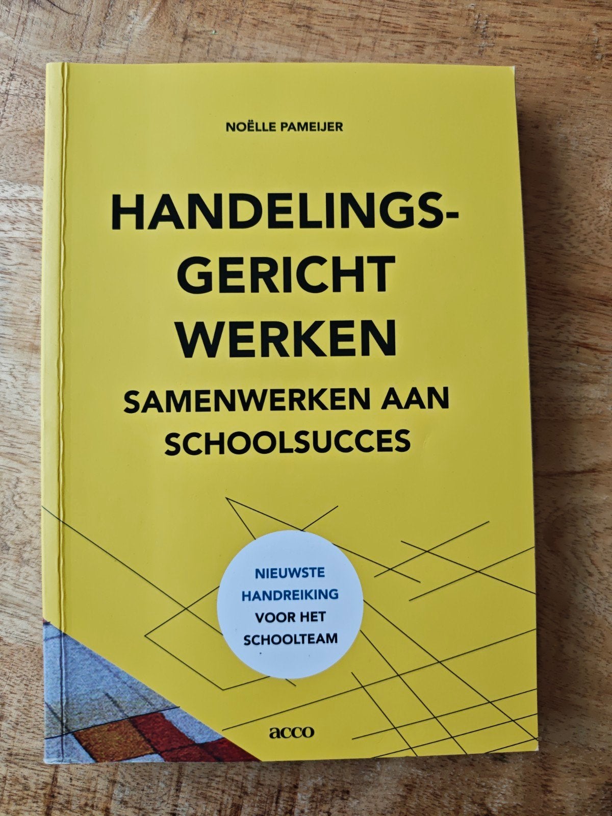 Handelingsgericht werken: Samenwerken aan schoolsucces, Boeken, Noëlle Pameijer, Ophalen of Verzenden, Zo goed als nieuw, Gamma