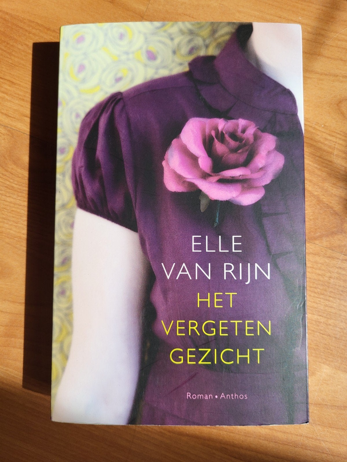 Elle van Rijn - Het vergeten gezicht, Ophalen of Verzenden, Zo goed als nieuw, Elle van Rijn