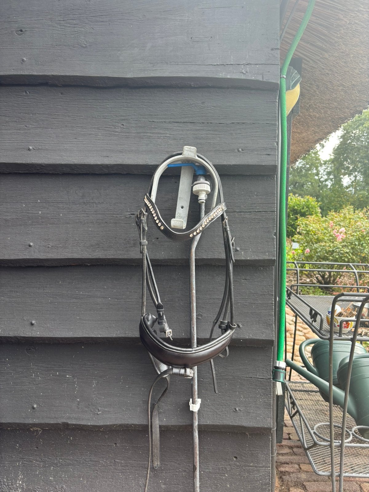 Dy’on  trens  hoofdstel full, Hoofdstel, Ophalen of Verzenden, Horsegear, Full
