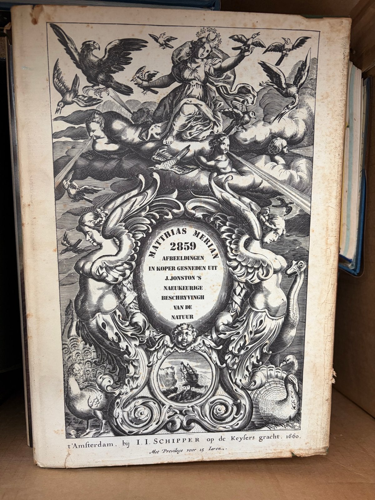 Matthias Merian - Afbeeldingen in koper gesneden, Ophalen of Verzenden, Gelezen, Natuur algemeen