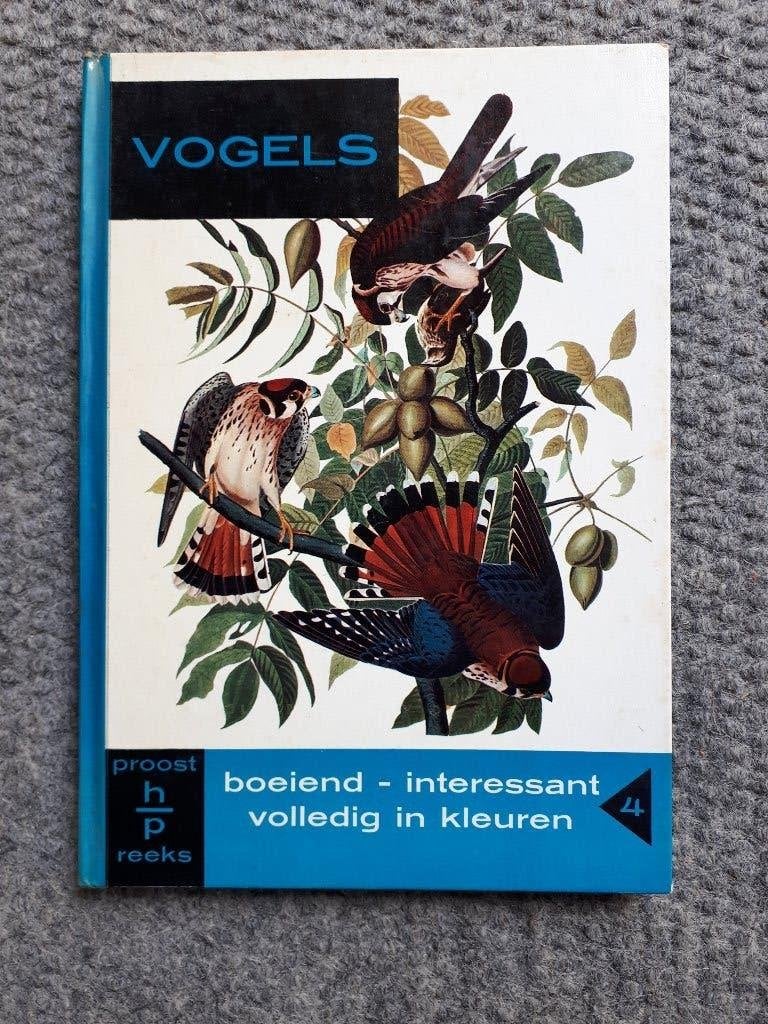 Vogels, Eunice Holsaert, Verzenden, Zo goed als nieuw, Eunice Holsaert, Vogels