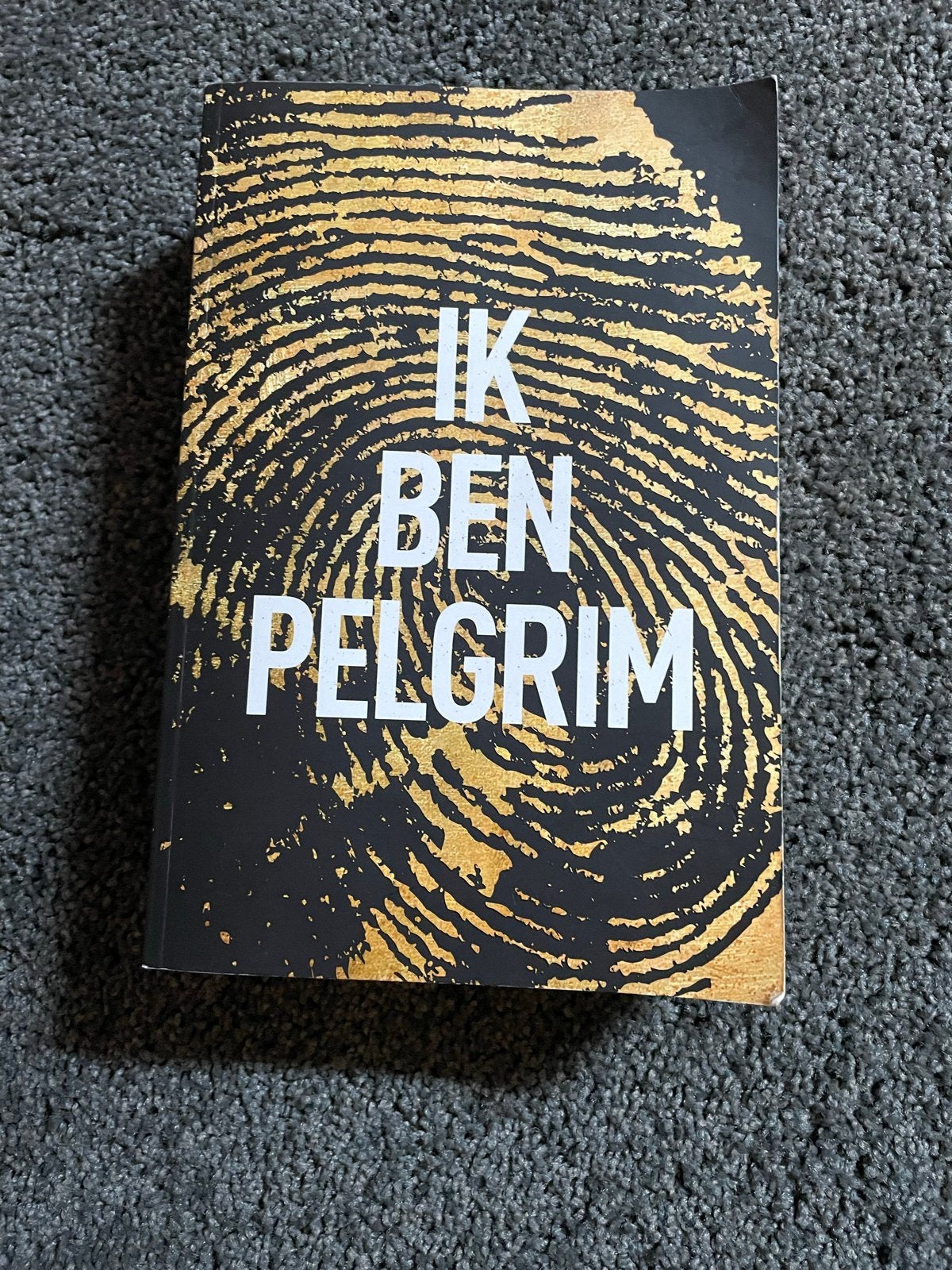 Ik Ben Pelgrim - Terry Hayes (Thriller), Boeken, Ophalen of Verzenden, Gelezen, Europa overig