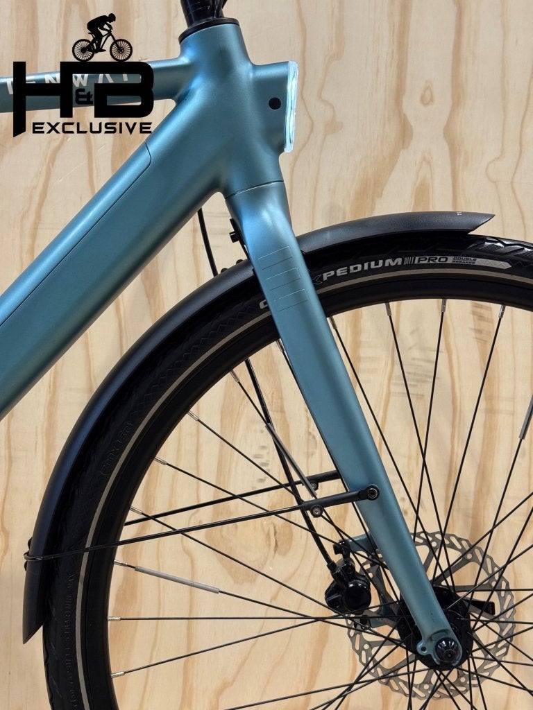 Tenways CGO600 PRO E-Bike Single-Speed, Fietsen en Brommers, Elektrische fietsen, Niet ingevuld, Ophalen of Verzenden, Zo goed als nieuw