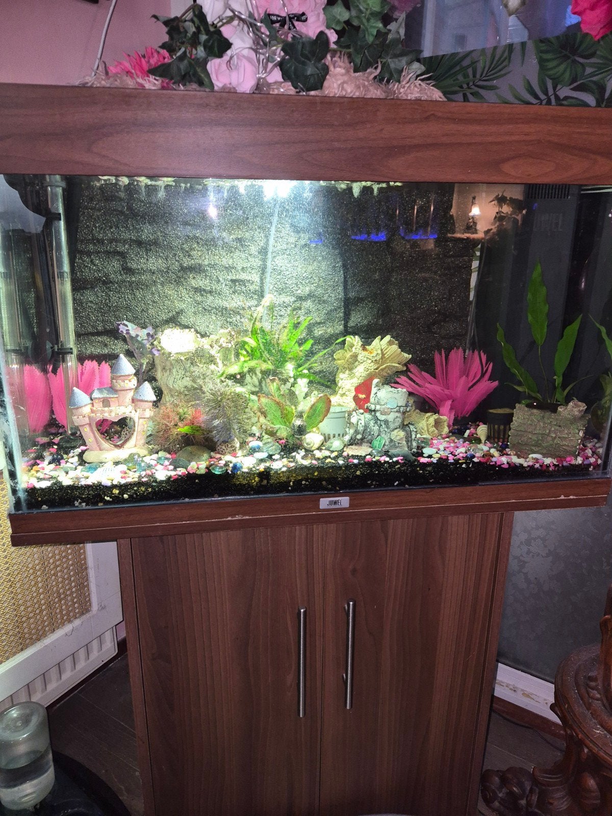 Aquarium met toeboren en Alger, Ophalen, Gebruikt, Inclusief vissen, Juwel