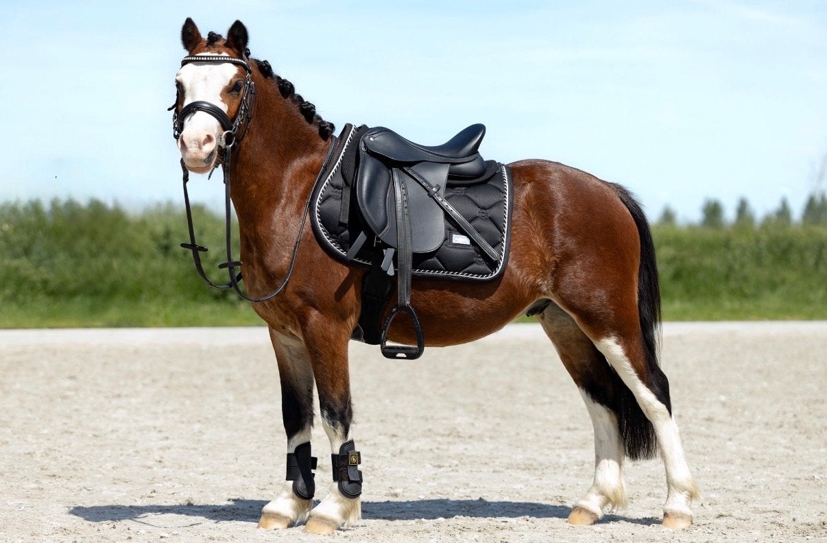 Verkocht Vinkenhof Hero – Welsh A-ruin | Echte kinderpony, Dieren en Toebehoren, Paarden, Minder dan 160 cm, Met stamboom, Ruin