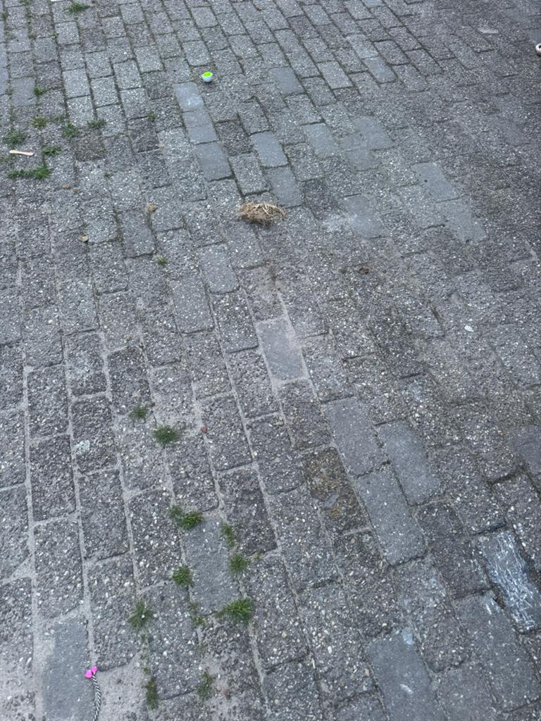 Gebruikte Beton Klinkers - 75 m², Ophalen, Gebruikt, Geen, Klinkers