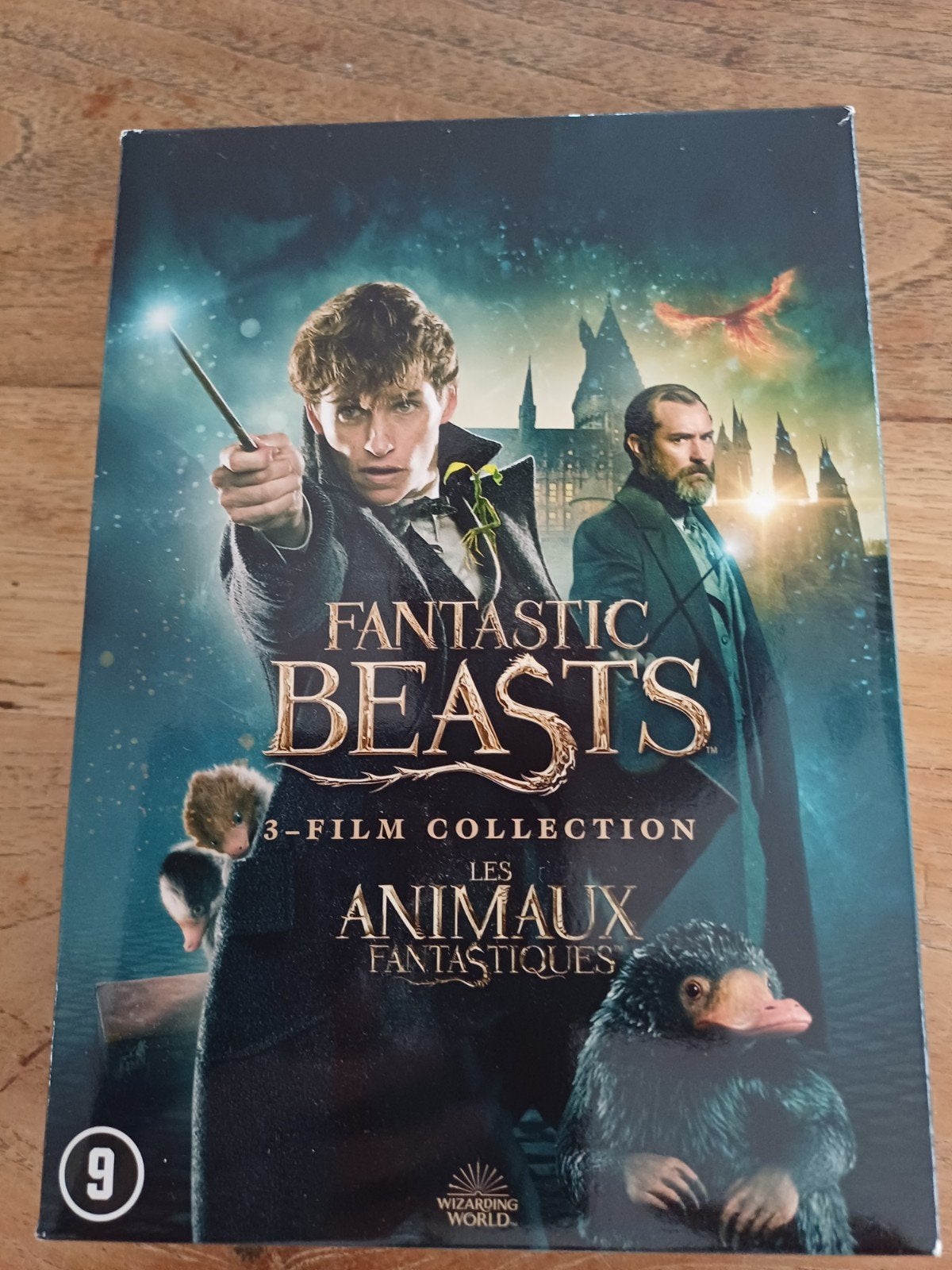 Fantastic Beasts 3-Film Collection DVD collectie, Nederlands, Vanaf 9 jaar, Ophalen of Verzenden, Zo goed als nieuw