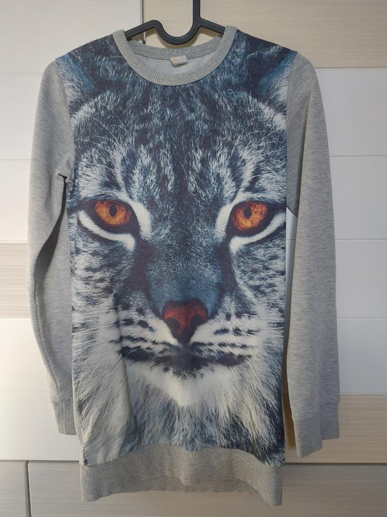 Jurk-trui WILD met glitter en dierenprint, maat 146/152, WILD, Gebruikt, Meisje, Ophalen of Verzenden