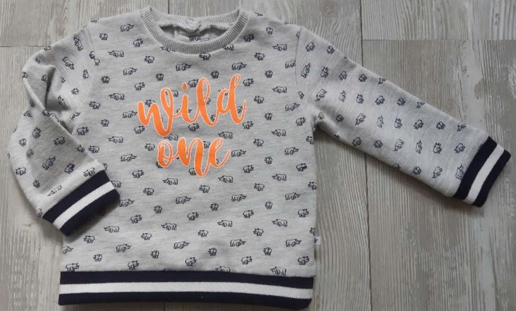 Ducky Beau sweater maat 62, Nieuw, Ophalen of Verzenden, Ducky Beau, Jongetje