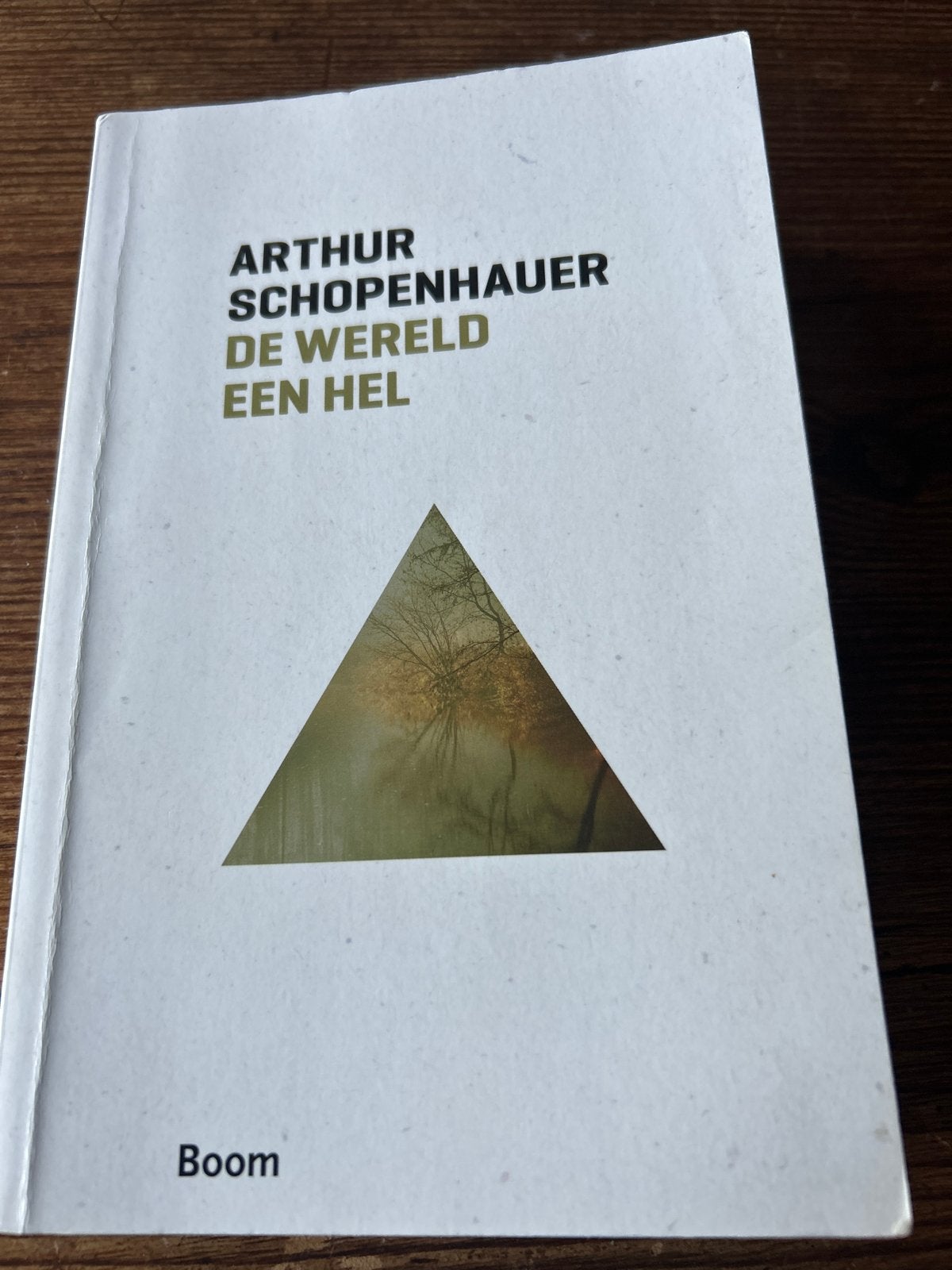 De Wereld een Hel - Arthur Schopenhauer (Boom Klassiek), Ophalen of Verzenden, Zo goed als nieuw, Wijsbegeerte of Ethiek