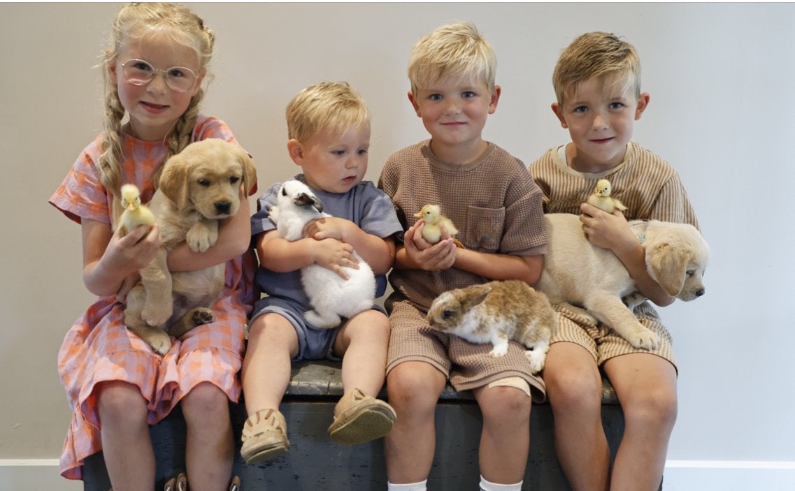 LIEVE Labrador  🤎 golden pups, Dieren en Toebehoren, 8 tot 15 weken, Labrador retriever, Parvo, Meerdere dieren