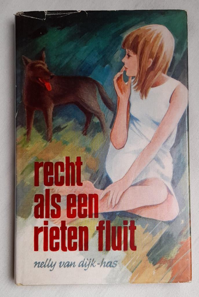 RECHT ALS EEN RIETEN FLUIT Nelly van Dijk-Has, Boeken, Romans, Ophalen of Verzenden, Gelezen, Nederland