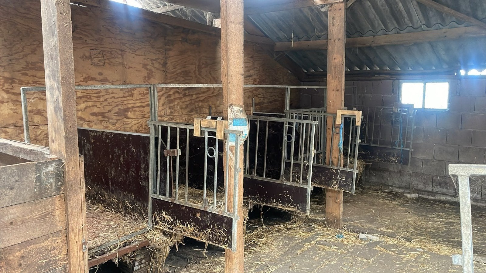 5 of 10 eenlingboxen voor kalveren in goede staat, Ophalen