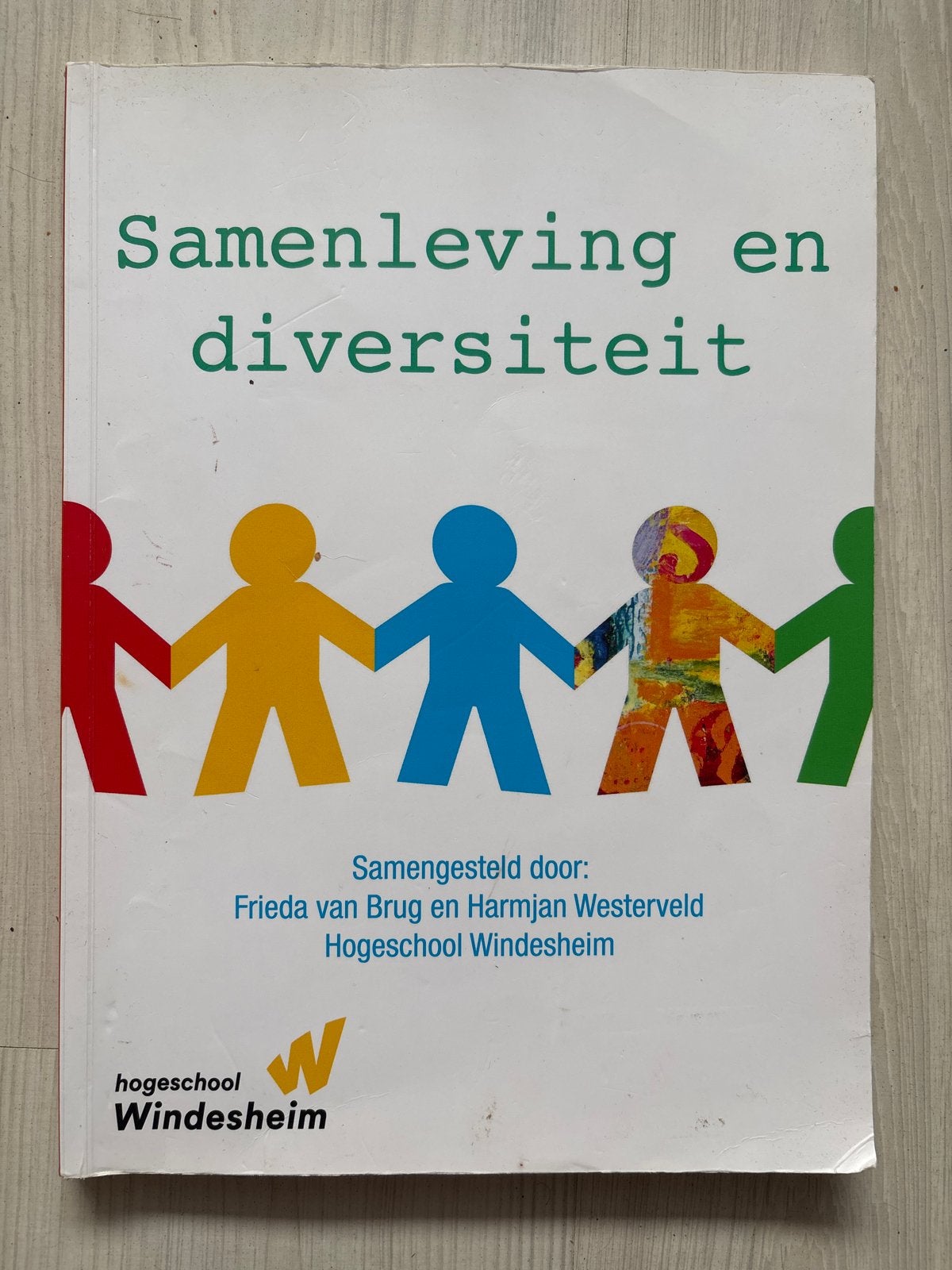 Samenleving en diversiteit - Hogeschool Windesheim, Boeken, Ophalen of Verzenden, Gamma, Zo goed als nieuw, HBO