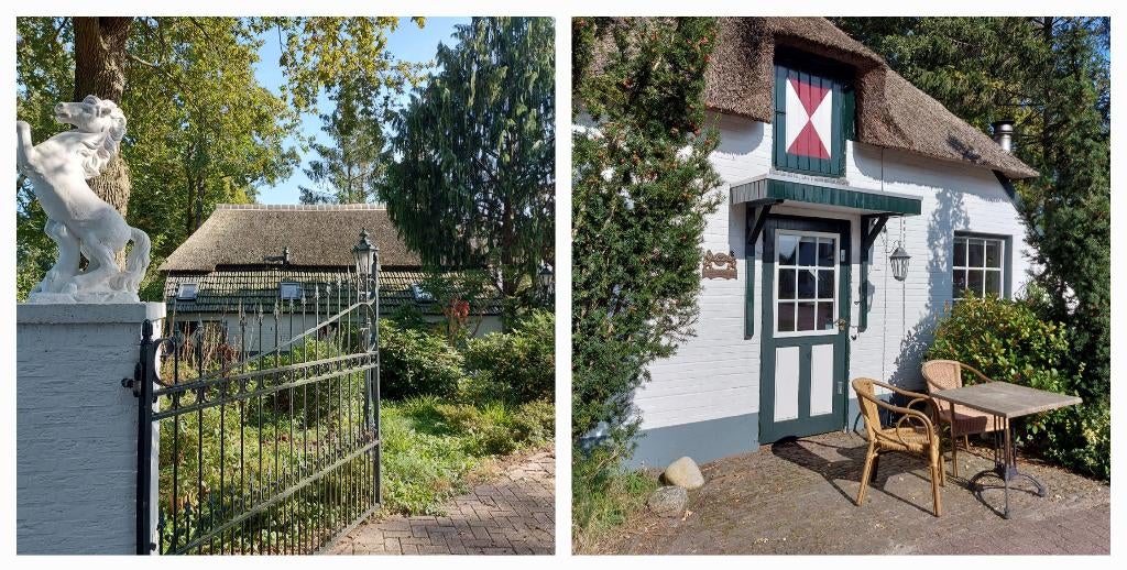 boerderijtje Holterberg met Finse sauna en houtkachel, Vakantie, In bos, Overijssel, 3 personen, Landelijk