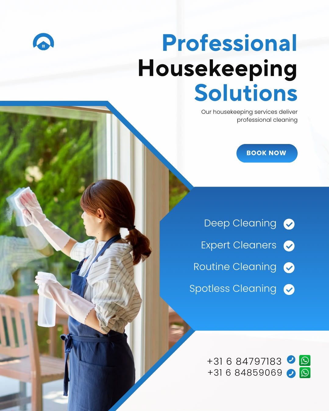 Professional Cleaning Services – Home & Office Cleaning, Boeken, Ophalen of Verzenden, Zo goed als nieuw, Overige niveaus