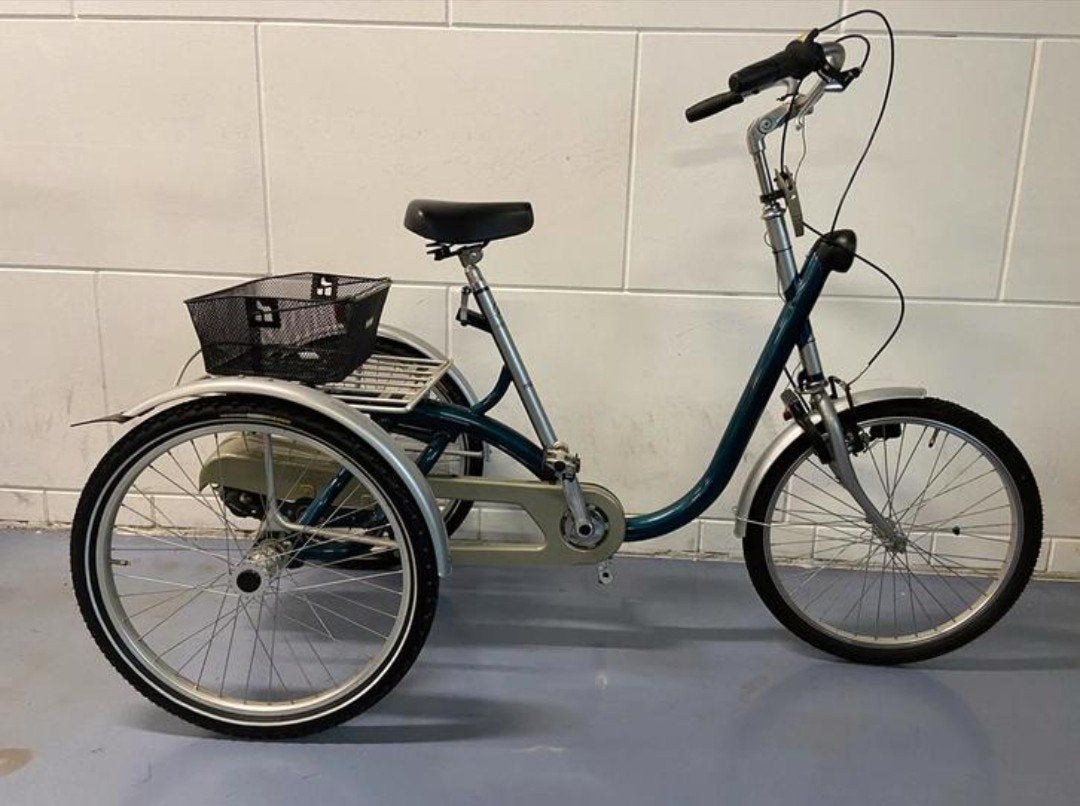 fiets driewieler, Ophalen, Gebruikt, Van Raam Maxi