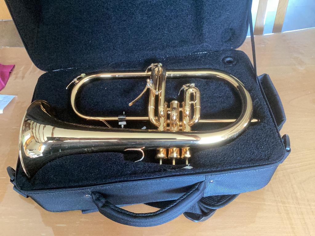 Bugel, Muziek en Instrumenten, Ophalen, Gebruikt, Overige typen, Met koffer